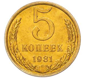 5 копеек 1981 года — Фото №1