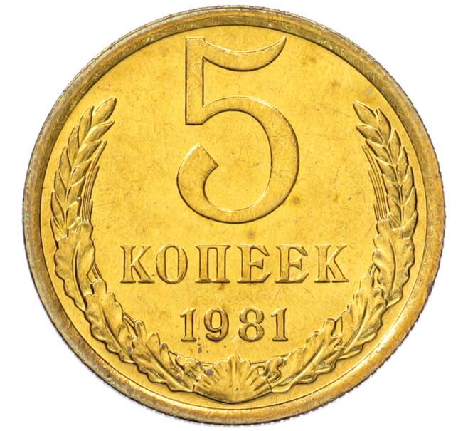Монета 5 копеек 1981 года (Артикул: K7-5323) — Фото №1