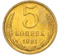 Монета 5 копеек 1981 года (Артикул: K7-5324) — Фото №1