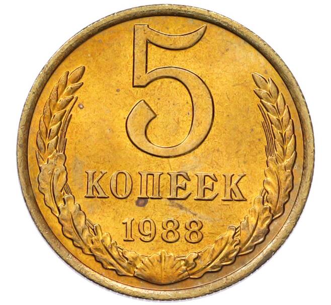 Монета 5 копеек 1988 года (Артикул: K7-5352) — Фото №1
