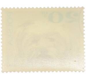 Почтовая марка 20 грошей 1968 года Польша «Породы собак — Мальтийская болонка» — Фото №2