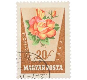 Почтовая марка 20 филлеров 1962 года Венгрия «Розы — Роза флорибунда» — Фото №1