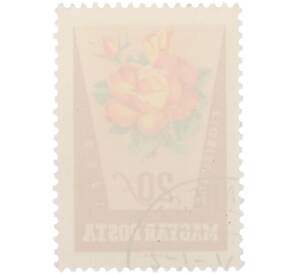 Почтовая марка 20 филлеров 1962 года Венгрия «Розы — Роза флорибунда» — Фото №2