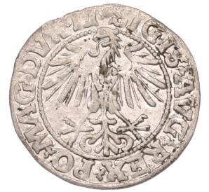 1/2 гроша 1549 года Литва — Фото №2
