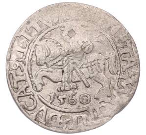 1/2 гроша 1560 года Литва — Фото №1
