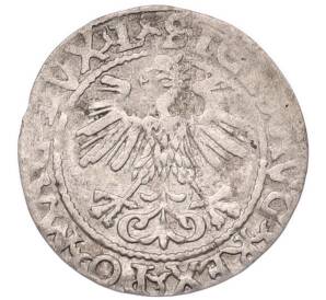 1/2 гроша 1560 года Литва — Фото №2