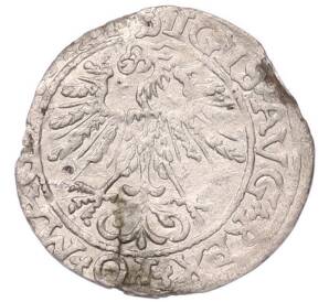 1/2 гроша 1561 года Литва — Фото №2