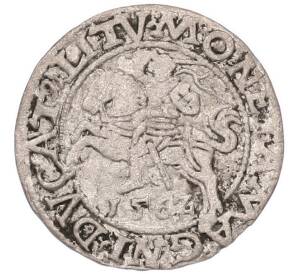 1/2 гроша 1562 года Литва — Фото №1