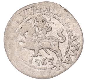 1/2 гроша 1565 года Литва — Фото №1