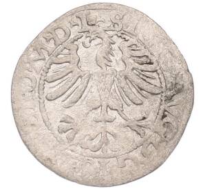 1/2 гроша 1565 года Литва — Фото №2