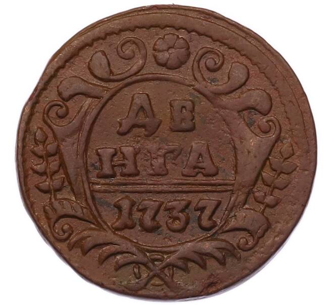 Монета Денга 1737 года (Артикул: K7-5788) — Фото №1