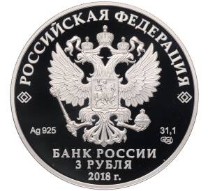 3 рубля 2018 года СПМД «Чемпионат мира по футболу 2018 в России — Нижний Новгород» — Фото №2