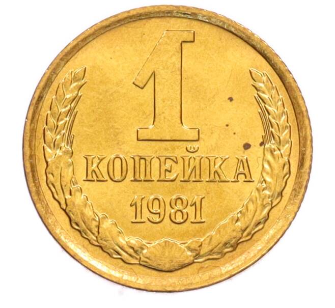 Монета 1 копейка 1981 года (Артикул: K8-3974) — Фото №1