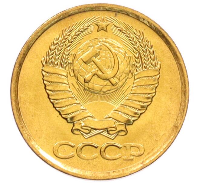 Монета 1 копейка 1981 года (Артикул: K8-3974) — Фото №2