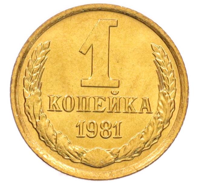 Монета 1 копейка 1981 года (Артикул: K8-3975) — Фото №1