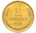 Монета 1 копейка 1981 года (Артикул: K8-3976) — Фото №1