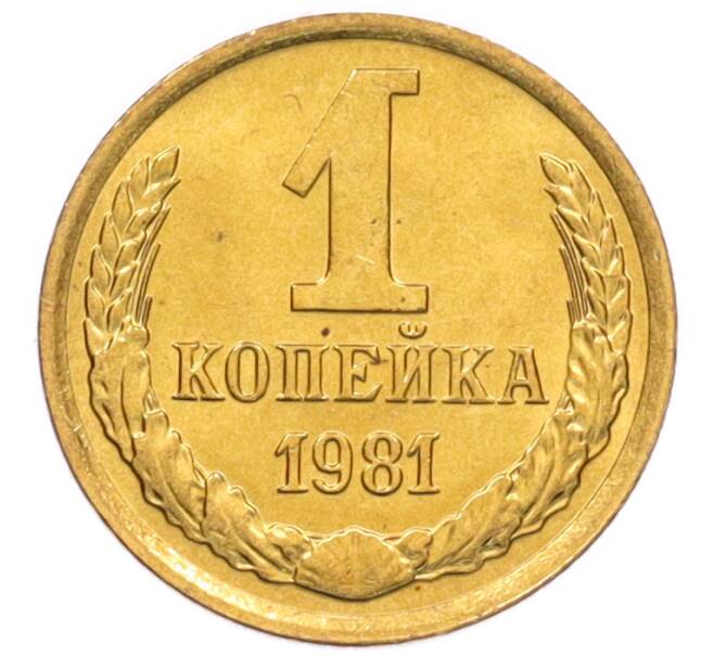 Монета 1 копейка 1981 года (Артикул: K8-3976) — Фото №1
