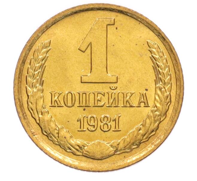 Монета 1 копейка 1981 года (Артикул: K8-3977) — Фото №1