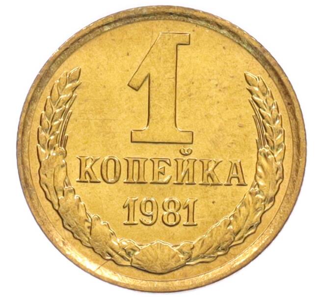 Монета 1 копейка 1981 года (Артикул: K8-3979) — Фото №1