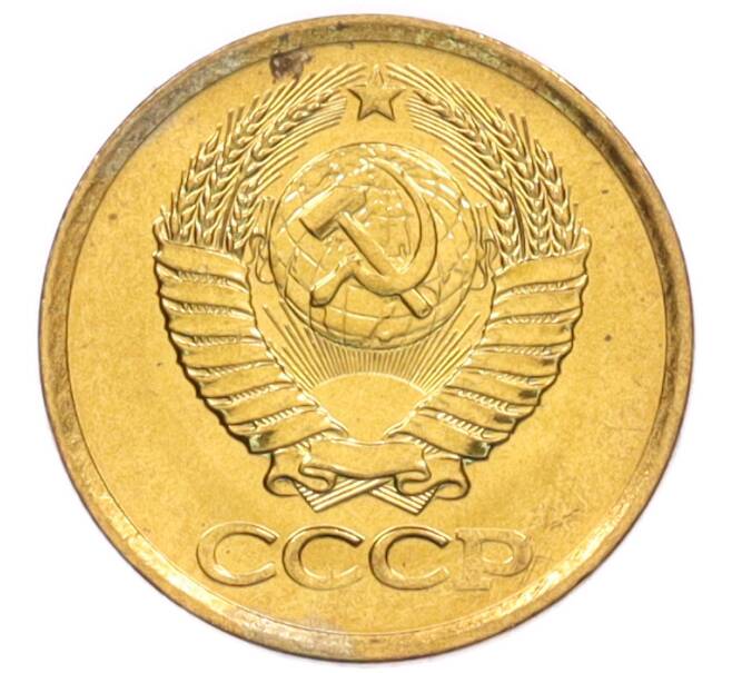 Монета 1 копейка 1981 года (Артикул: K8-3979) — Фото №2