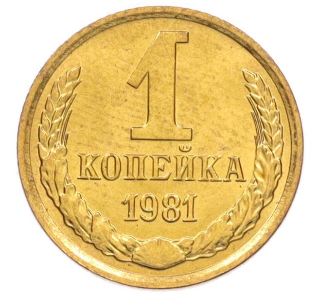 Монета 1 копейка 1981 года (Артикул: K8-3980) — Фото №1