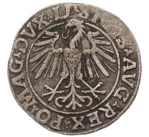 1/2 гроша 1548 года Литва — Фото №2