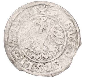 1/2 гроша 1509 года Литва — Фото №2