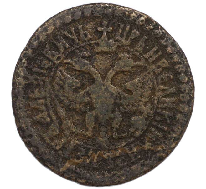 Монета Денга 1704 года (Артикул: K1-7931) — Фото №2