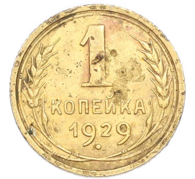 Монета 1 копейка 1929 года (Артикул: K7-6087) — Фото №1