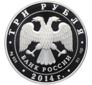 3 рубля 2014 года СПМД «250 лет со дня основания Государственного Эрмитажа» — Фото №2