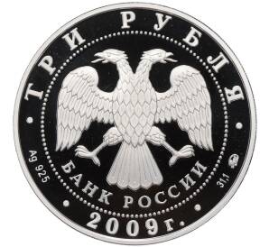 3 рубля 2009 года ММД «Наследие ЮНЕСКО — Великий Новгород и окрестности» — Фото №2