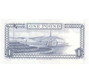 1 фунт 2009 года Остров Мэн — Фото №2