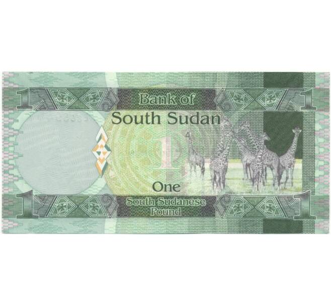 Банкнота 1 фунт 2011 года Южный Судан (Артикул: B2-5519) — Фото №2