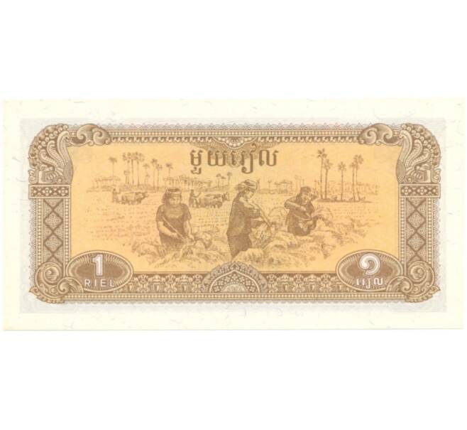 Банкнота 1 риэль 1979 года Камбоджа (Артикул: B2-5535) — Фото №1