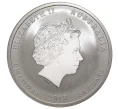 Монета 50 центов 2018 года Австралия «Год собаки» (Артикул M2-38061)