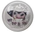 Монета 1 доллар 2019 года Австралия «Год свиньи» (Артикул M2-33433)