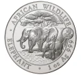 Монета 100 шиллингов 2013 года Сомали «Фауна Африки — Африканский слон» (Артикул M2-34358)
