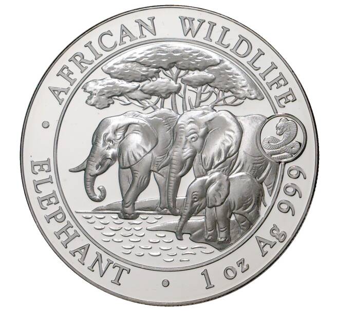 Монета 100 шиллингов 2013 года Сомали «Фауна Африки — Африканский слон» (Артикул M2-34358)