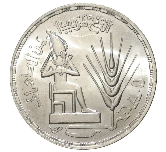 Монета 1 фунт 1976 года Египет «ФАО» (Артикул M2-38348)