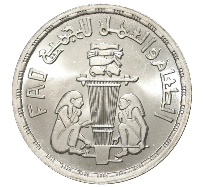 Монета 1 фунт 1981 года Египет «ФАО» (Артикул M2-38349)
