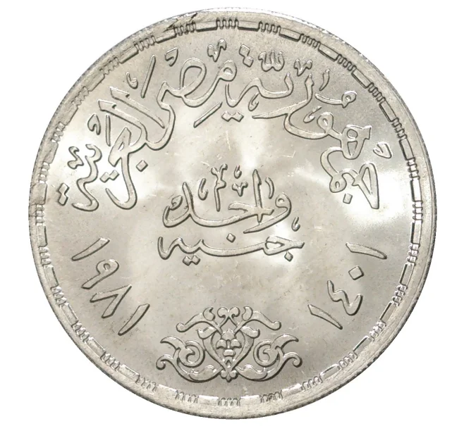 Монета 1 фунт 1981 года Египет «ФАО» (Артикул M2-38349)