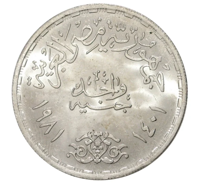 Монета 1 фунт 1981 года Египет «Всемирный день продовольствия» (Артикул M2-38355)