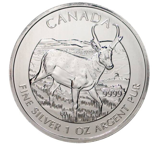 Монета 5 долларов 2013 года Канада «Канадская фауна — Вилорог» (Артикул M2-30501)