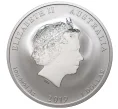 Монета 1 доллар 2019 года Австралия «Год кабана» (Артикул M2-30217)