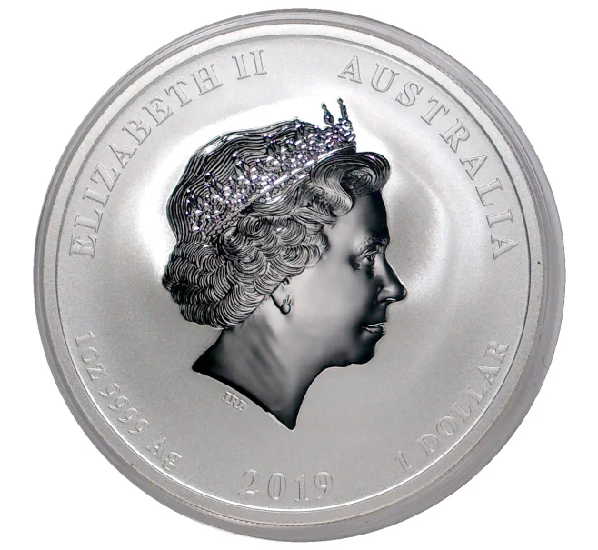 Монета 1 доллар 2019 года Австралия «Год кабана» (Артикул M2-30217)