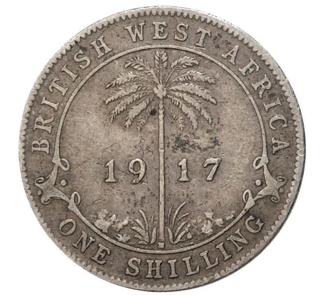 Монета 1 шиллинг 1917 года Британская Западная Африка (Артикул M2-38641)